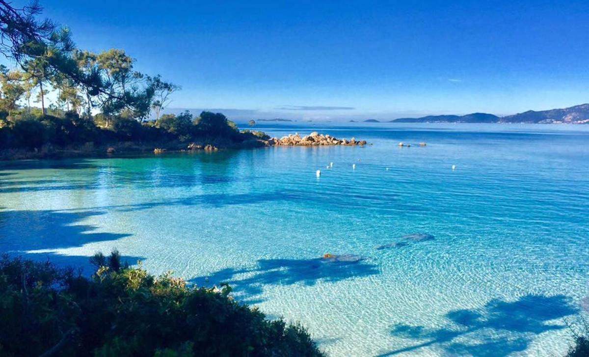 Le Pelican Magnifique F2 Ajaccio  Exteriér fotografie